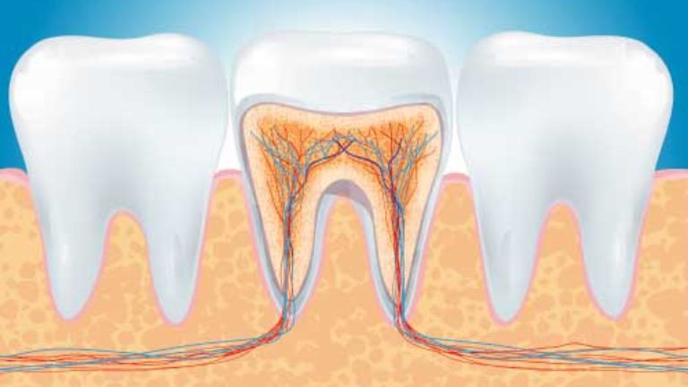 Endodonzia